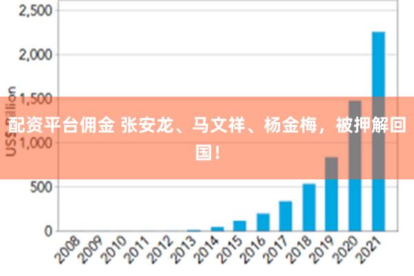 配资平台佣金 张安龙、马文祥、杨金梅，被押解回国！