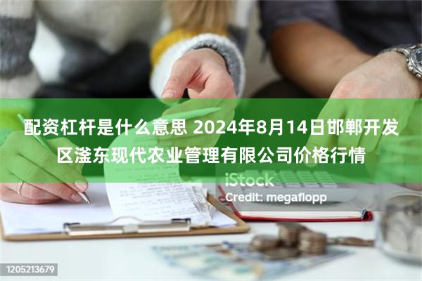 配资杠杆是什么意思 2024年8月14日邯郸开发区滏东现代农业管理有限公司价格行情