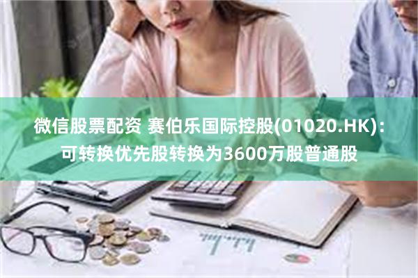 微信股票配资 赛伯乐国际控股(01020.HK)：可转换优先股转换为3600万股普通股