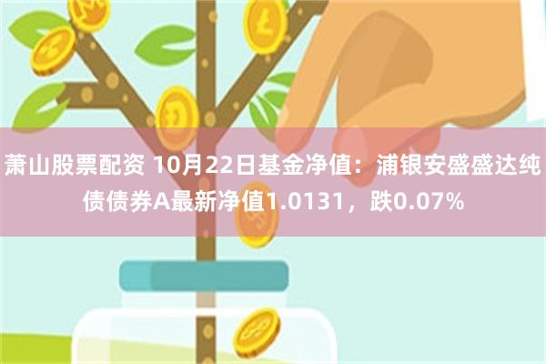 萧山股票配资 10月22日基金净值：浦银安盛盛达纯债债券A最