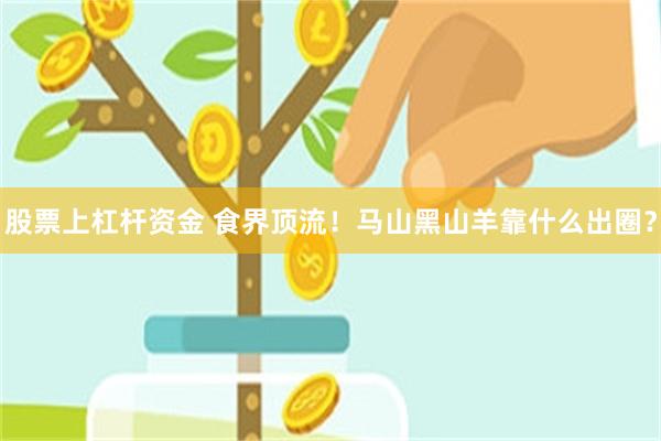 股票上杠杆资金 食界顶流！马山黑山羊靠什么出圈？