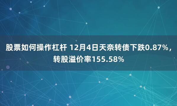 股票如何操作杠杆 12月4日天奈转债下跌0.87%，转股溢价率155.58%