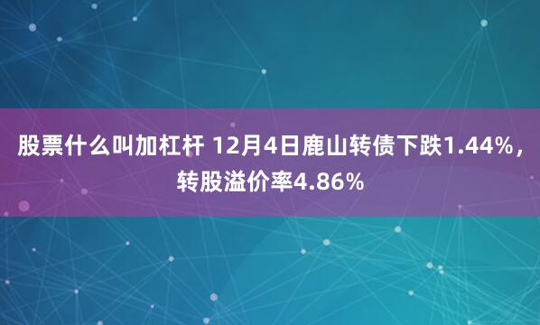 股票什么叫加杠杆 12月4日鹿山转债下跌1.44%，转股溢价率4.86%