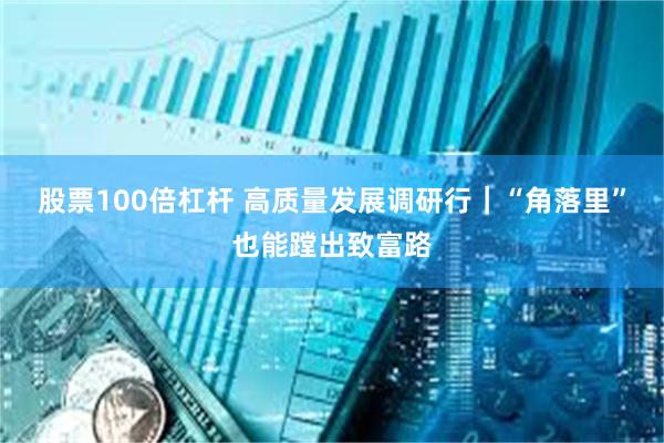 股票100倍杠杆 高质量发展调研行｜“角落里”也能蹚出致富路