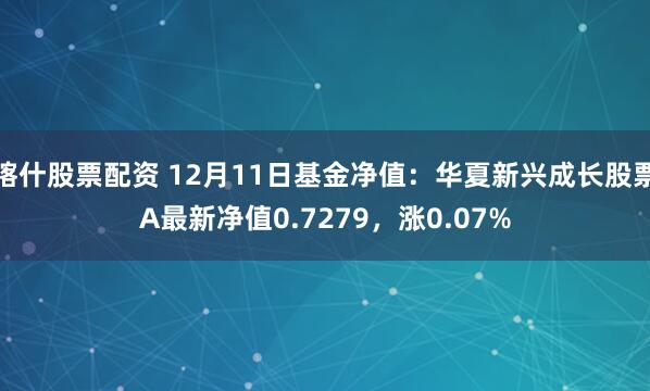 喀什股票配资 12月11日基金净值：华夏新兴成长股票A最新净值0.7279，涨0.07%