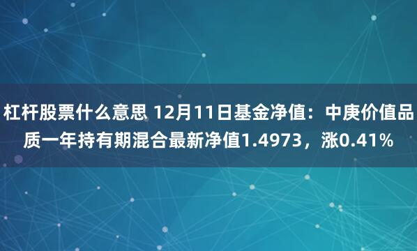 杠杆股票什么意思 12月11日基金净值：中庚价值品质一年持有期混合最新净值1.4973，涨0.41%