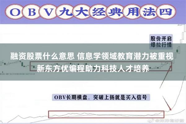 融资股票什么意思 信息学领域教育潜力被重视 新东方优编程助力科技人才培养