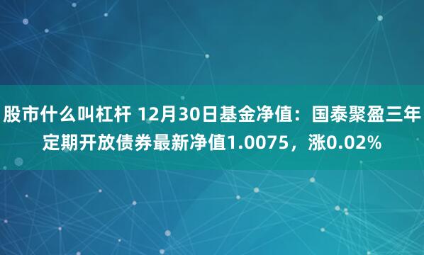 股市什么叫杠杆 12月30日基金净值：国泰聚盈三年定期开放债券最新净值1.0075，涨0.02%