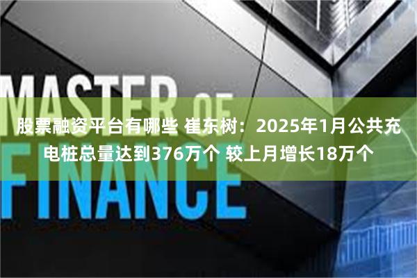 股票融资平台有哪些 崔东树：2025年1月公共充电桩总量达到376万个 较上月增长18万个